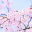 櫻花導(dǎo)航